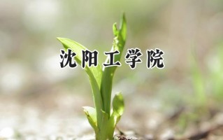 沈阳工学院2024在内蒙古录取分数线是多少？最低297分/最高404分