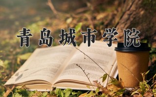 2024年青岛城市学院录取分数线，新疆最低279分