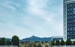 2024苏州科技大学录取分数线，重庆录取最低分530