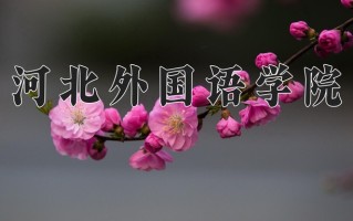 辽宁考生多少分能上河北外国语学院？2025最低400分