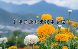 2024年甘肃工业职业技术学院录取分数线，河北最低357分