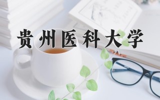 贵州医科大学王牌专业排名-含2024年全国各省录取最低分数线