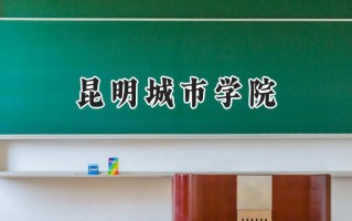 昆明城市学院2024在青海录取分数线是多少？最低212分/最高405分