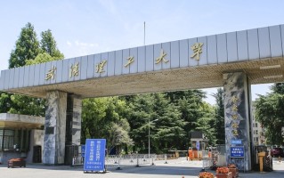 湖北省理工类大学排名-2024年湖北省最新理工类高校排行榜