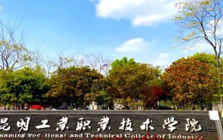 云南391分能上什么大学？附2025年可以报考的大学名单