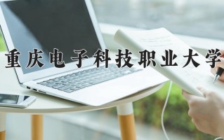 2025年重庆电子科技职业大学在新疆计划招生人数（附学费及专业录取分)