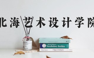 北海艺术设计学院王牌专业排名-含2024年全国各省录取最低分数线