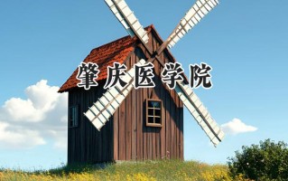 肇庆医学院2024在山东录取分数线是多少？最低449分/最高493分