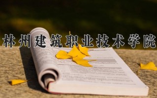 2025年林州建筑职业技术学院在新疆计划招生人数（附学费及专业录取分)