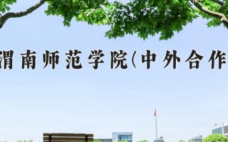2025年渭南师范学院(中外合作)在四川计划招生人数（附学费及专业录取分)