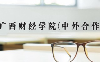 2024广西财经学院(中外合作)录取分数线，重庆录取最低分486