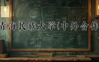 2025年青海民族大学(中外合作)在重庆计划招生人数（附学费及专业录取分)