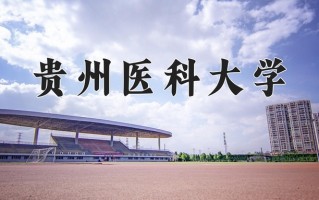 辽宁考生多少分能上贵州医科大学？2025最低409分