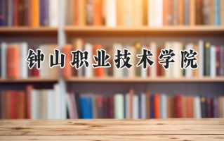 钟山职业技术学院2024在江苏录取分数线是多少？最低221分/最高459分
