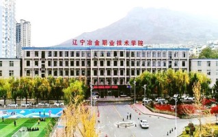 2024年辽宁冶金职业技术学院录取分数线，河北最低353分