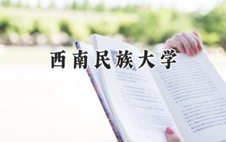 西南民族大学2024在上海录取分数线是多少？最低438分/最高459分