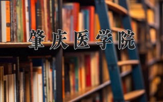 2025年肇庆医学院在四川计划招生人数（附学费及专业录取分)