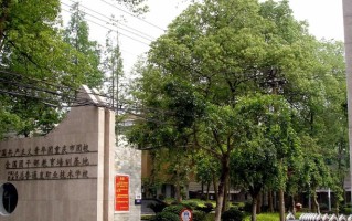 2024重庆青年职业技术学院录取分数线，重庆录取最低分342