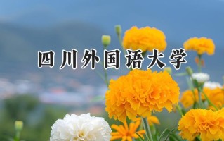 2024四川外国语大学录取分数线：江苏最低527分