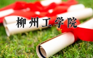 辽宁考生多少分能上柳州工学院？2025最低368分