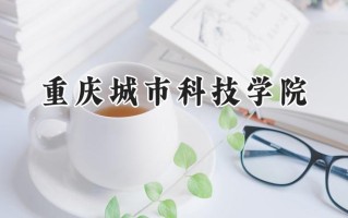 2024重庆城市科技学院录取分数线：江苏最低464分