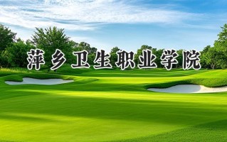 萍乡卫生职业学院2024在青海录取分数线是多少？最低272分/最高348分