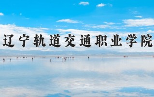 2025年辽宁轨道交通职业学院在四川计划招生人数（附学费及专业录取分)