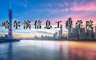 2024年哈尔滨信息工程学院录取分数线，河北最低452分