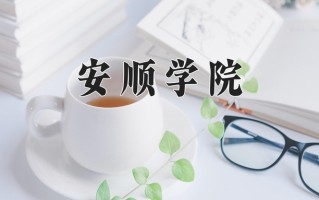 安顺学院王牌专业排名-含2024年全国各省录取最低分数线