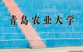 青岛农业大学怎么样？全国排名第几位