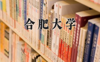 合肥大学王牌专业排名-含2025年全国各省录取最低分数线