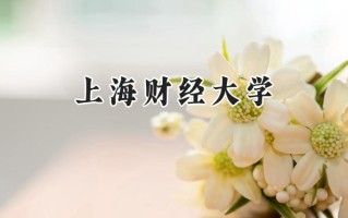 2024上海财经大学录取分数线：天津最低642分