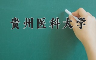 贵州医科大学全国排名及2024年最低录取分数线