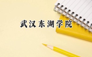 2024武汉东湖学院录取分数线：天津最低163分