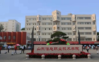 2024年山东信息职业技术学院录取分数线，河北最低381分