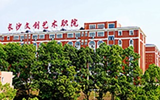 2024年长沙文创艺术职业学院录取分数线，河北最低299分