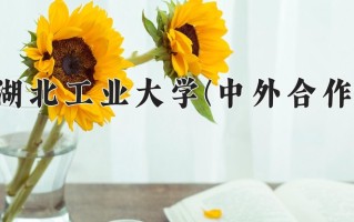 2025年湖北工业大学(中外合作)在四川计划招生人数（附学费及专业录取分)