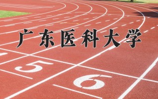 信息资源管理专业大学排名！附2025全国最新院校排行榜名单