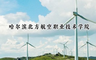 哈尔滨北方航空职业技术学院2024在内蒙古录取分数线是多少？最低190分/最高224分
