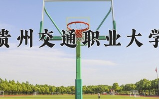 辽宁考生多少分能上贵州交通职业大学？2025最低316分