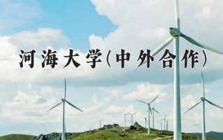 2025年河海大学(中外合作)在四川计划招生人数（附学费及专业录取分)