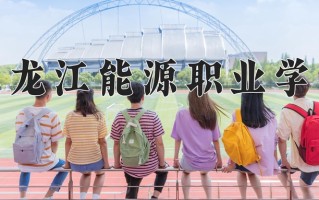 辽宁考生多少分能上黑龙江能源职业学院？2025最低155分
