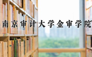 南京审计大学金审学院王牌专业排名-含2024年全国各省录取最低分数线