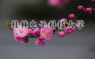 2024桂林电子科技大学录取分数线：江苏最低564分