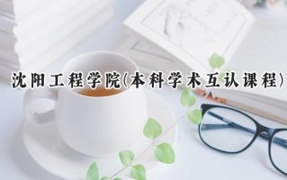 2024沈阳工程学院(本科学术互认课程)录取分数线：河南最低490分