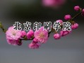 北京印刷学院2024在福建录取分数线是多少？最低538分/最高556分