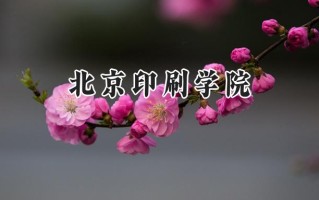 北京印刷学院2024在福建录取分数线是多少？最低538分/最高556分