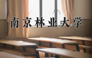 南京林业大学一年学费多少钱及各专业的收费标准(2025参考）