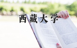 西藏大学全国排名及2024年最低录取分数线