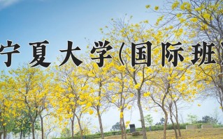 宁夏508分能上什么大学？附2025年可以报考的大学名单